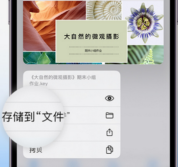 鹰潭apple维修中心分享iPhone文件应用中存储和找到下载文件