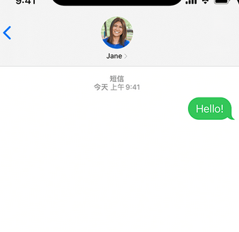 鹰潭apple维修iPhone上无法正常发送iMessage信息