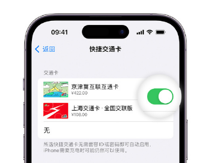 鹰潭apple维修点分享iPhone上更换Apple Pay快捷交通卡手绘卡面 