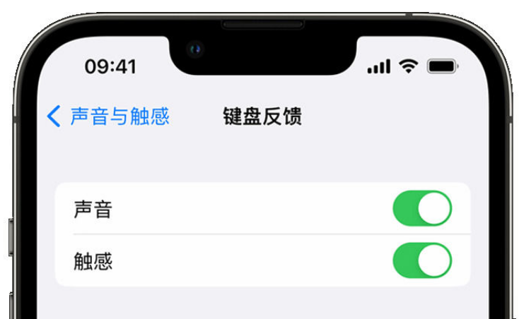 鹰潭苹果手机维修分享iPhone 14触感键盘使用方法 