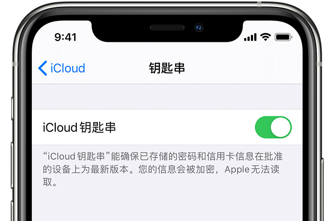 鹰潭苹果手机维修分享在 iPhone 上开启 iCloud 钥匙串之后会储存哪些信息 