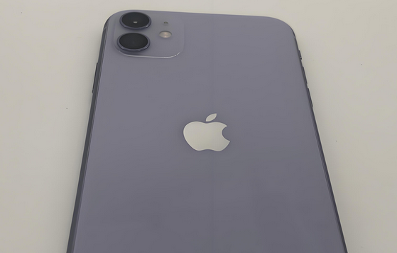 鹰潭苹果11系统维修分享iPhone11手机系统崩溃无法开机如何解决 